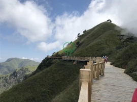 棧道平臺(tái)；圍欄-湖南防腐木批發(fā)